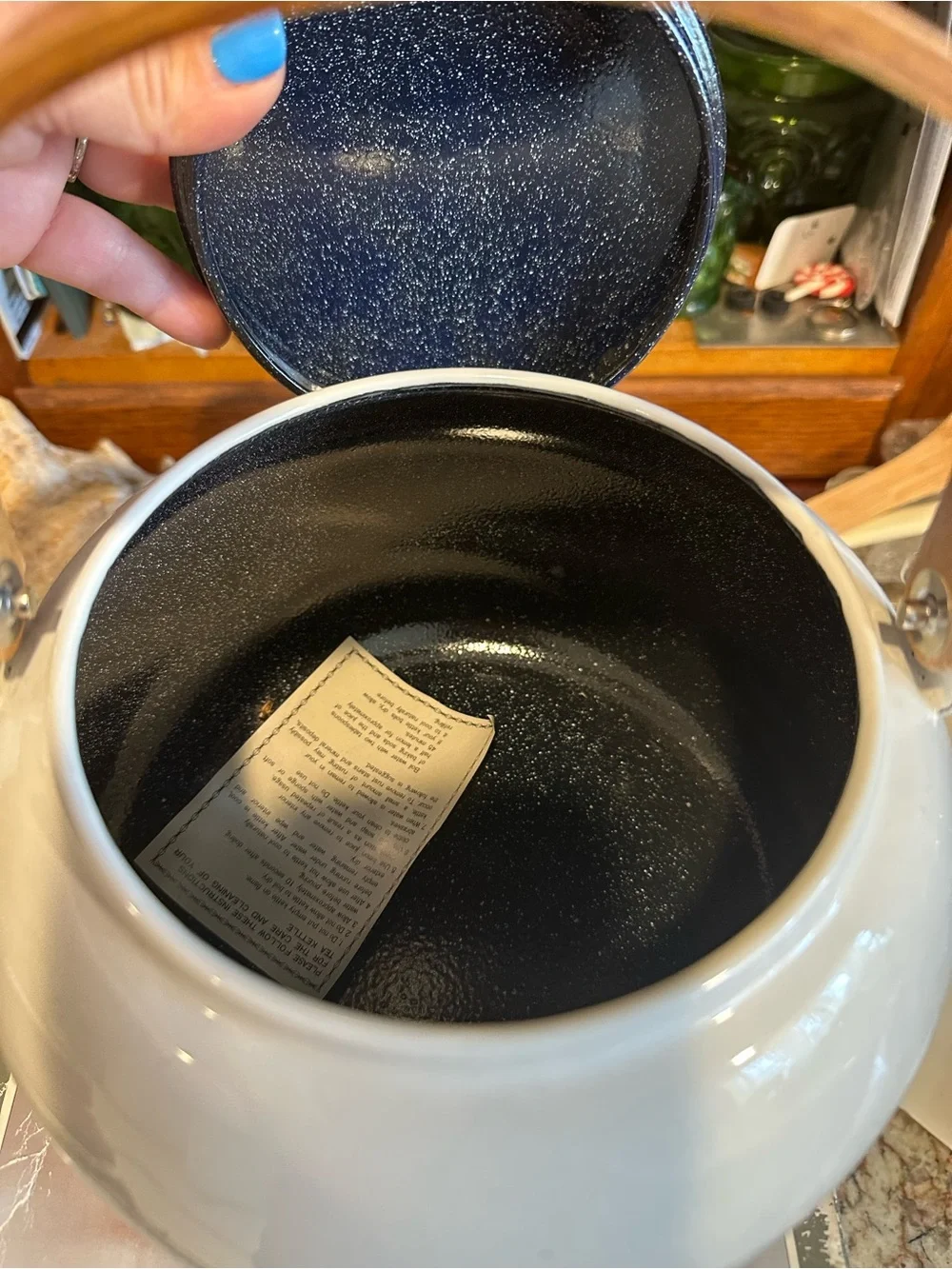 Goose Porcelain Enamel Tea Kettle